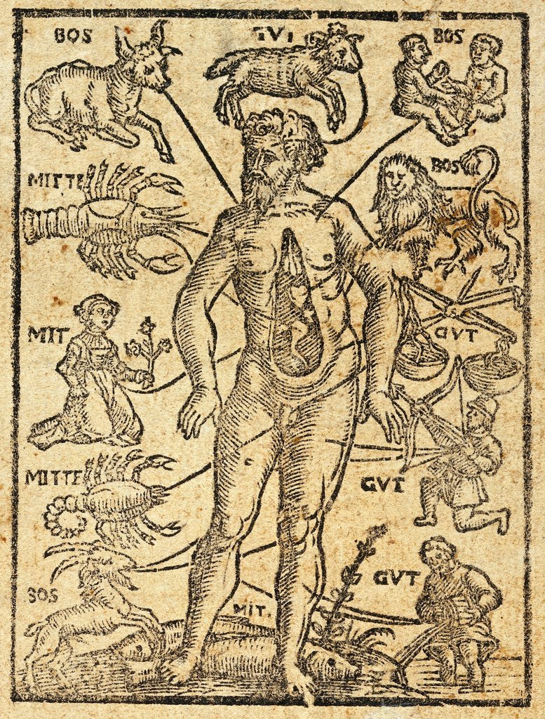 Der Tierkreismensch von Petrus Slovacius (1581). Laut der Tierkreismelothesie ist jeder Körperteil einem bestimmten Sternzeichen oder Planeten zugeordnet.