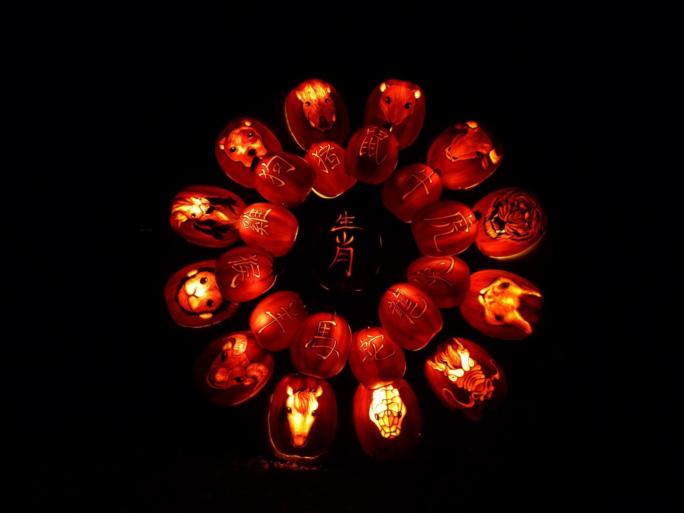 Die 12 chinesischen Sternzeichen.