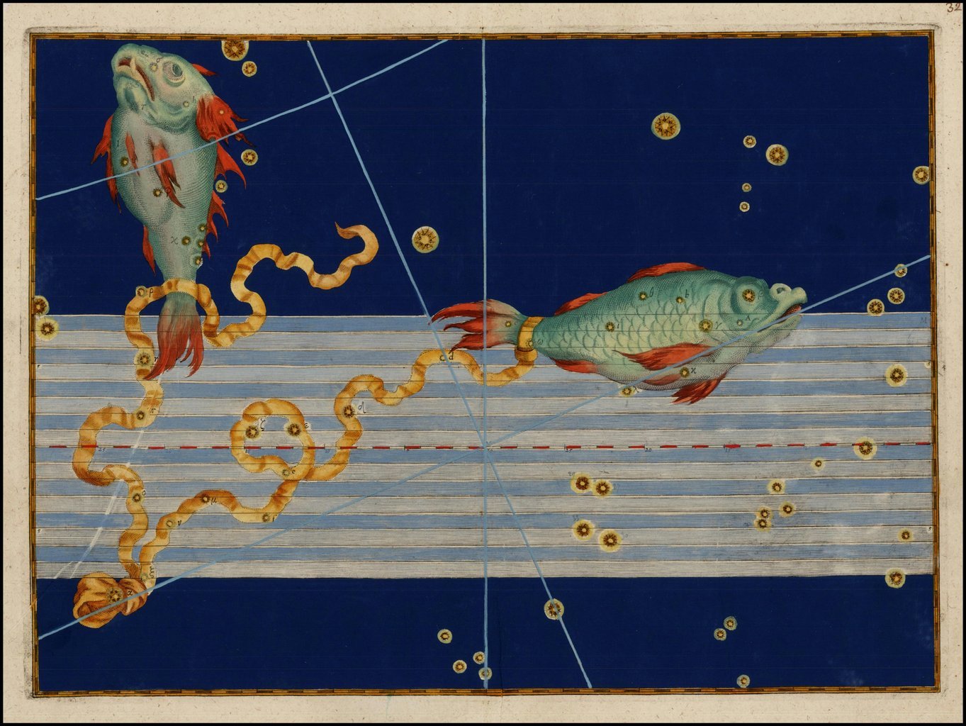 Das Zeichen Fische von Johann Bayer.