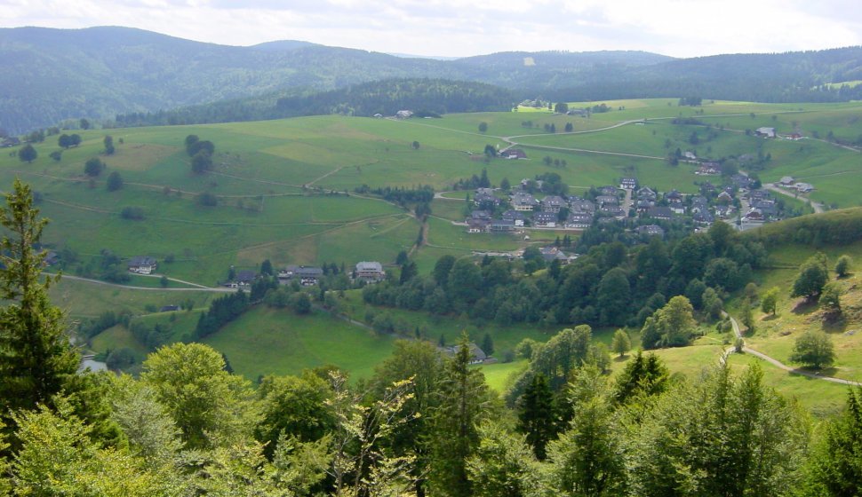 Schwarzwald, Schauinsland, Bw, im August