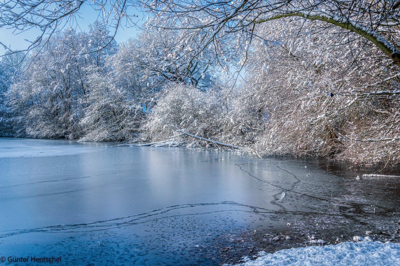 Monatskalender Januar 2016 zum Ausdrucken