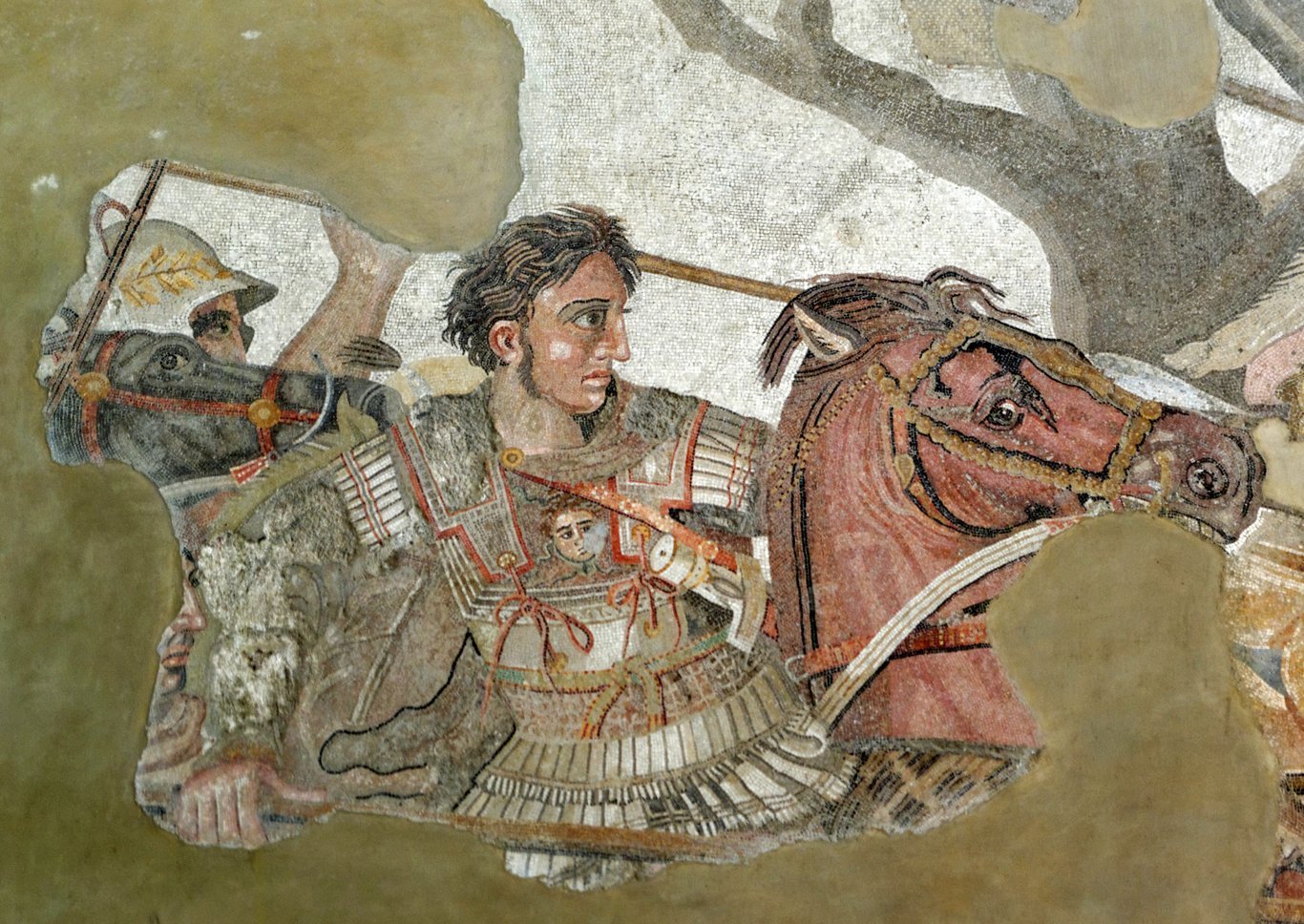 Römisches Mosaik aus dem Boden des Hauses des Fauns in Pompeji, nach einem Gemälde des Griechen Philoxenos von Eretria ausgeführt: die Alexanderschlacht, 3. Jahrhundert v. Chr. Es stellt die Schlacht bei Issos (333 v. Chr.) dar, in der Alexander der Große, der auf diesem Detail zu sehen ist, einen glänzenden Sieg über den Perserkönig Dareios III. errang.
Mosaik, 313 × 582 cm für das Gesamtwerk. Archäologisches Nationalmuseum, Neapel.
