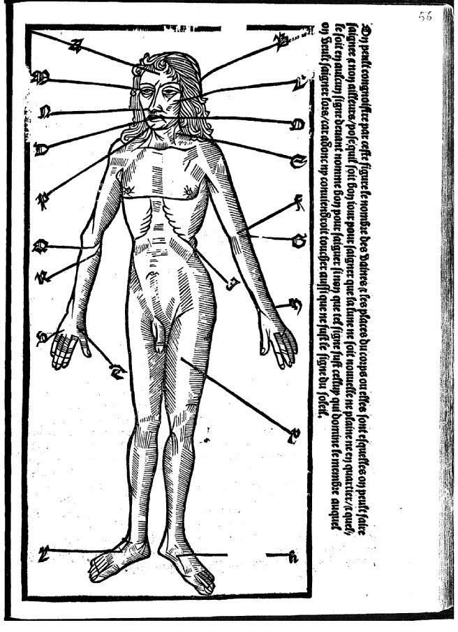 Anatomische Tafel im Kalendrier von 1508.