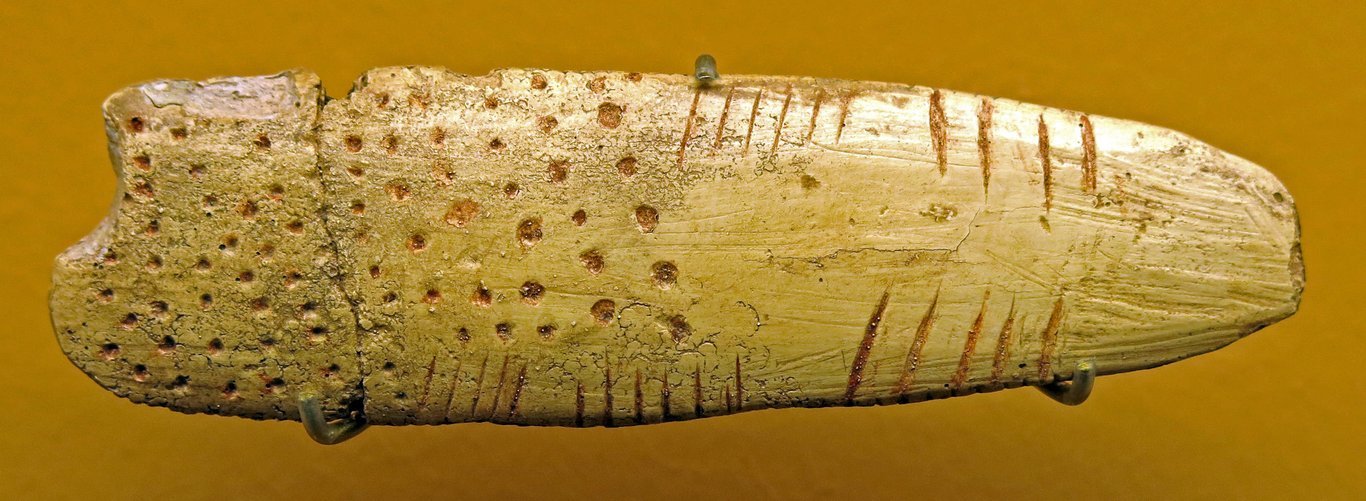 Die Rückseite des Blanchard-Knochens.