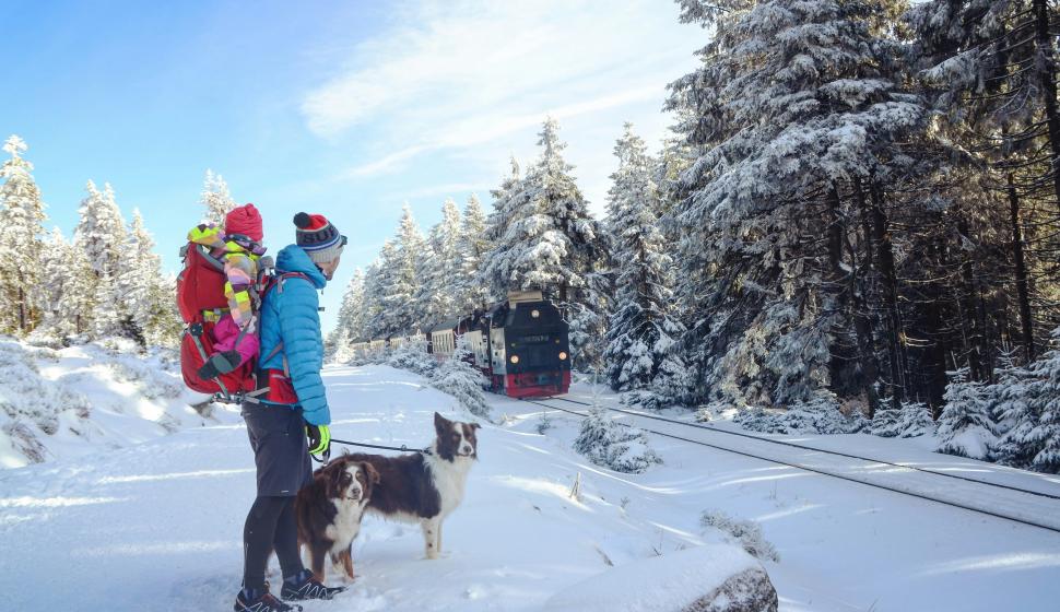 Schneespaziergang im Januar beim Brocken im Mittelgebirge Harz, Sachsen-Anhalt